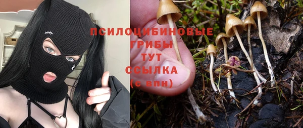 spice Абаза