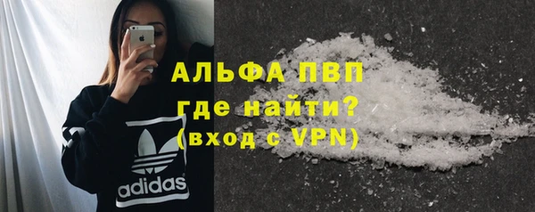 spice Новосибирск